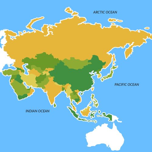 OpenmindProjects volunteer destination