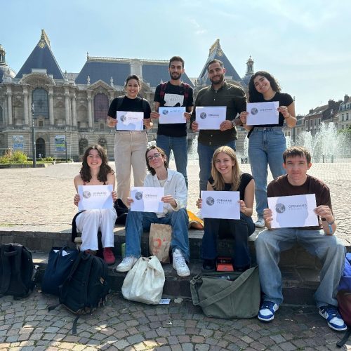 OpenmindProjects Team from France