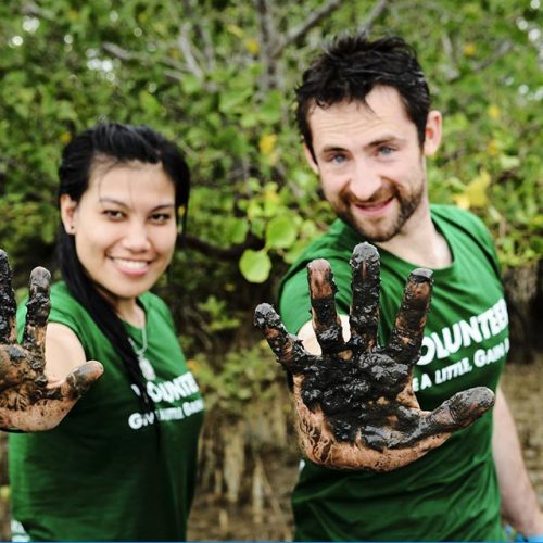 OpenmindProjects volunteers at marine conservation